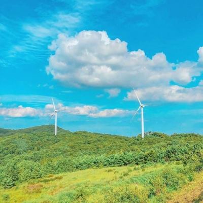我是大东家华为版下载